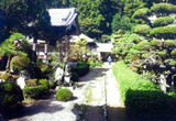 長興寺の庭